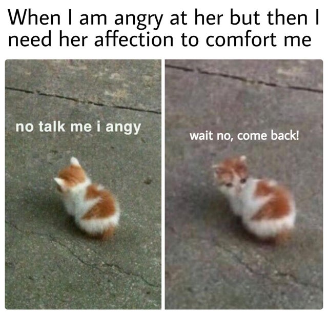 relationship-memes-no talk me i sad - When I am angry at her but then I need her affection to comfort me no talk me i angy wait no, come back!