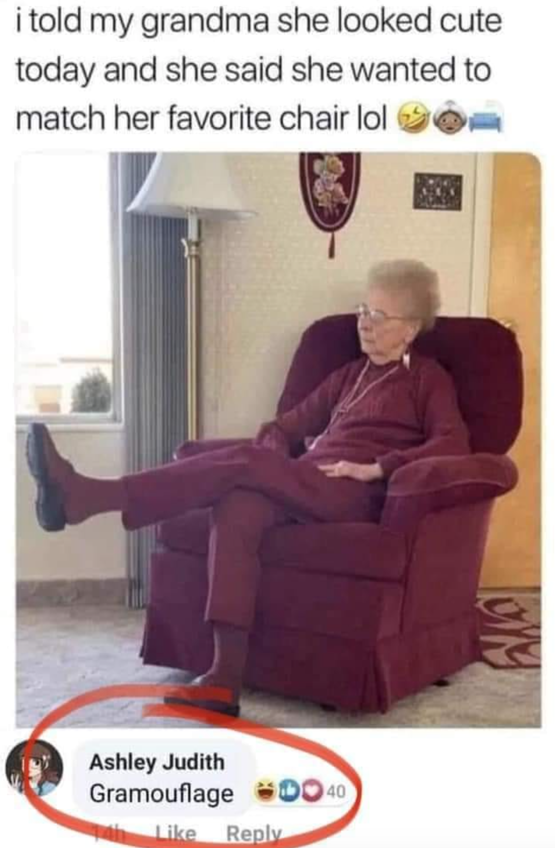 gramaflauge meme - i told my grandma she looked cute today and she said she wanted to match her favorite chair lol oly Ashley Judith Gramouflage 0040