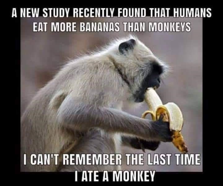 learn something new funny - A New Study Recently Found That Humans Eat More Bananas Than Monkeys I Can'T Remember The Last Time I Ate A Monkey