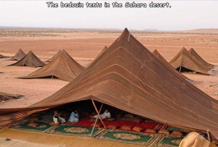 cool random pics - morocco tents - The bedouin tents in the Sahara desert.