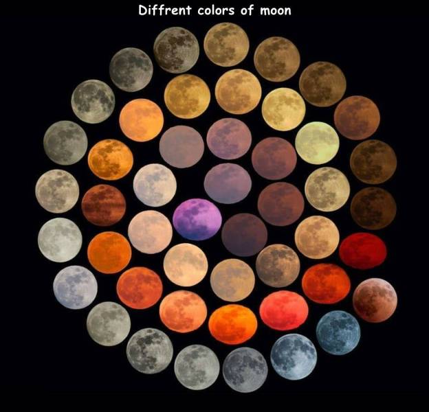 cool random pics - Moon - Diffrent colors of moon