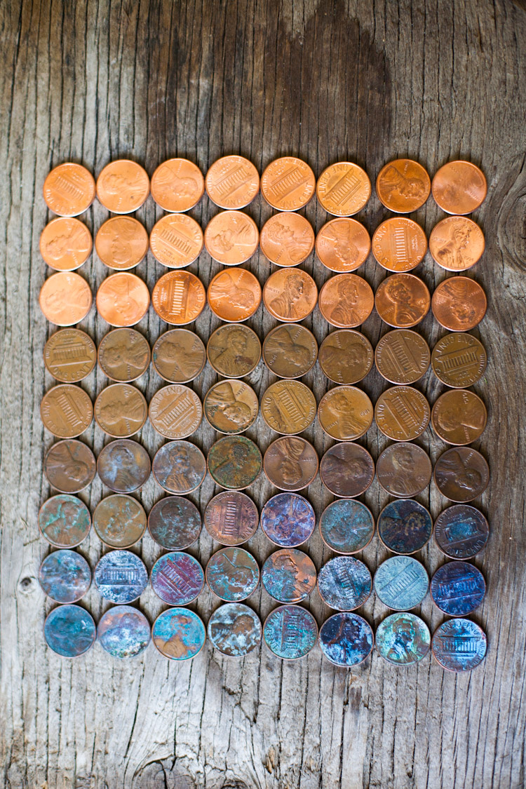 perfect pics - life cycle of a penny