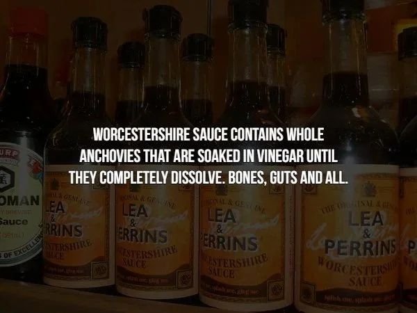 creepy facts - liqueur - Worcestershende Worcestershire Sauce Contains Whole Anchovies That Are Soaked In Vinegar Until They Completely Dissolve. Bones, Guts And All. Oman Lea Lea Lea Sauce & Lea Krrins Errins & Tershire Errins Pestershire Perrinsip Aster