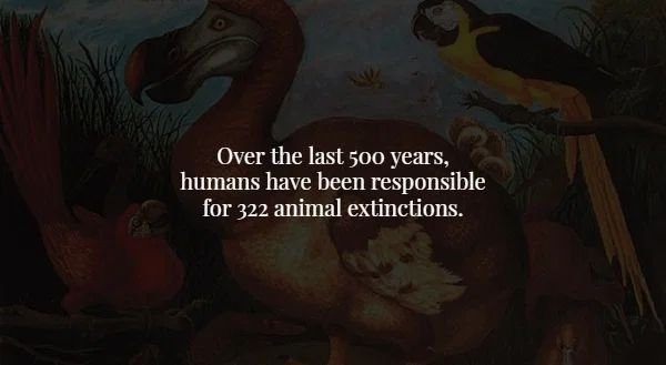 creepy facts - fauna - Over the last 500 years, humans have been responsible for 322 animal extinctions.