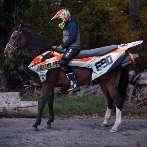 random pics and cool photos - jockey