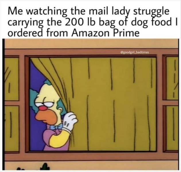 random pics and memes - nobody home meme - Me watching the mail lady struggle carrying the 200 lb bag of dog food | ordered from Amazon Prime badtimes