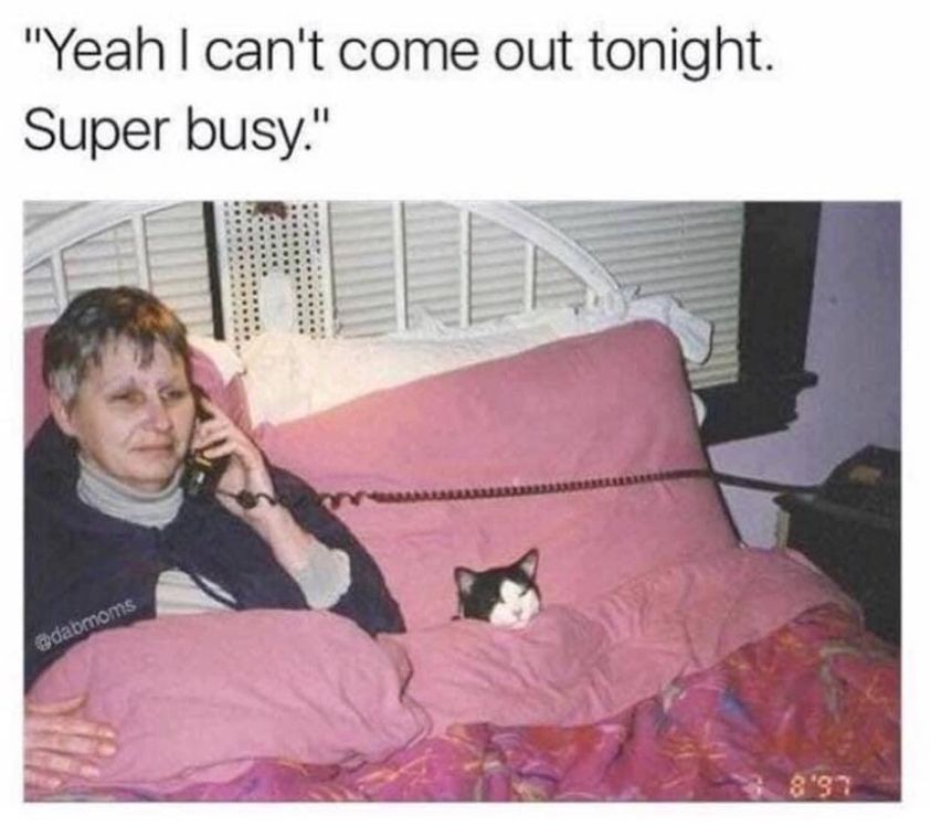 random pics and memes - can t come out tonight super busy - "Yeah I can't come out tonight. Super busy." edabmoms 8'31