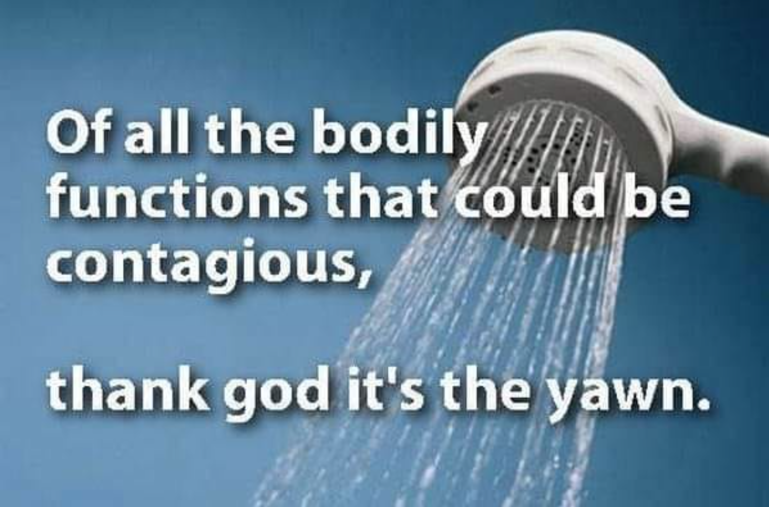 great shower thoughts - Of all the bodily functions that could be contagious, thank god it's the yawn.