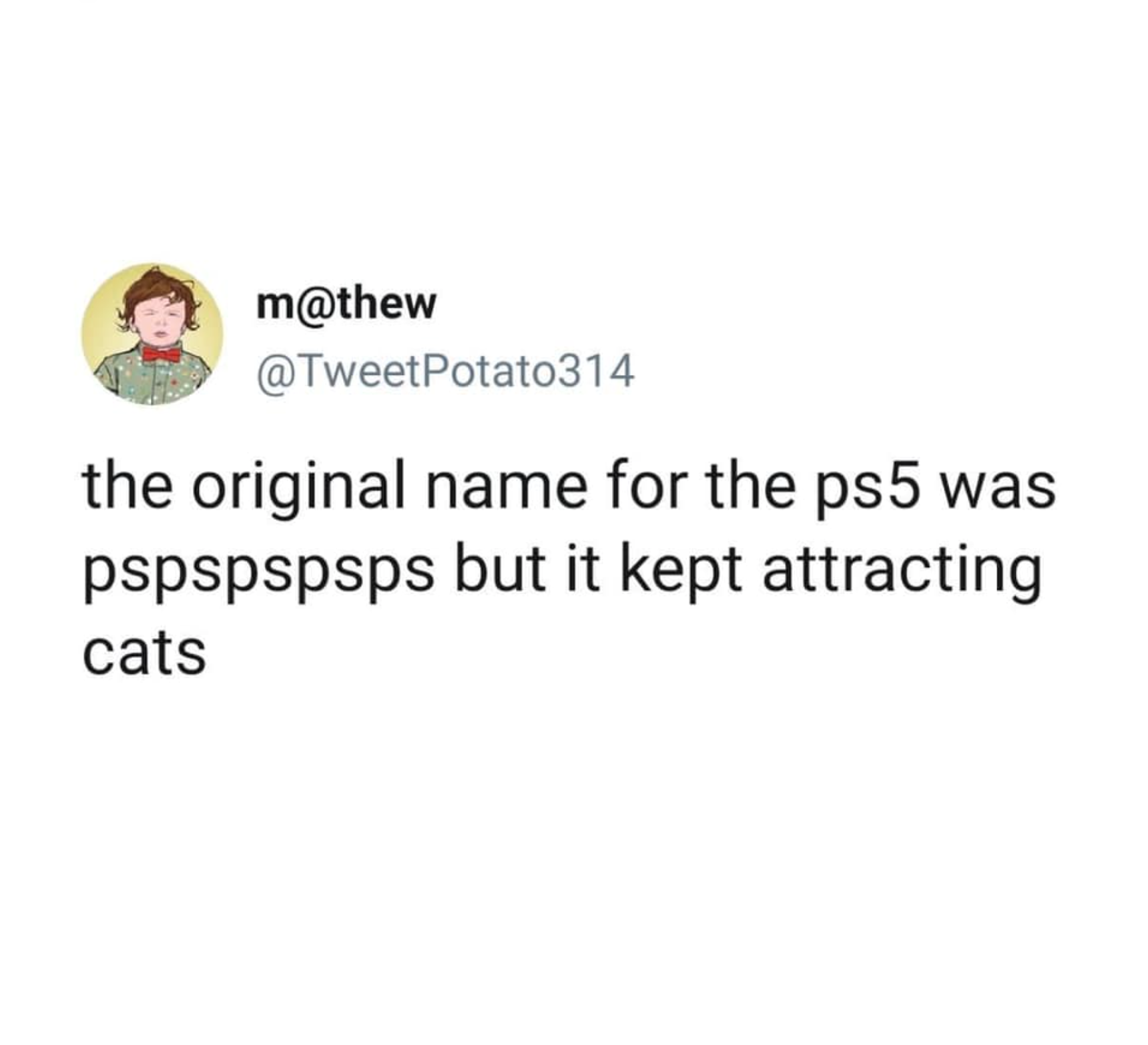 m Potato314 the original name for the ps5 was pspspspsps but it kept attracting cats