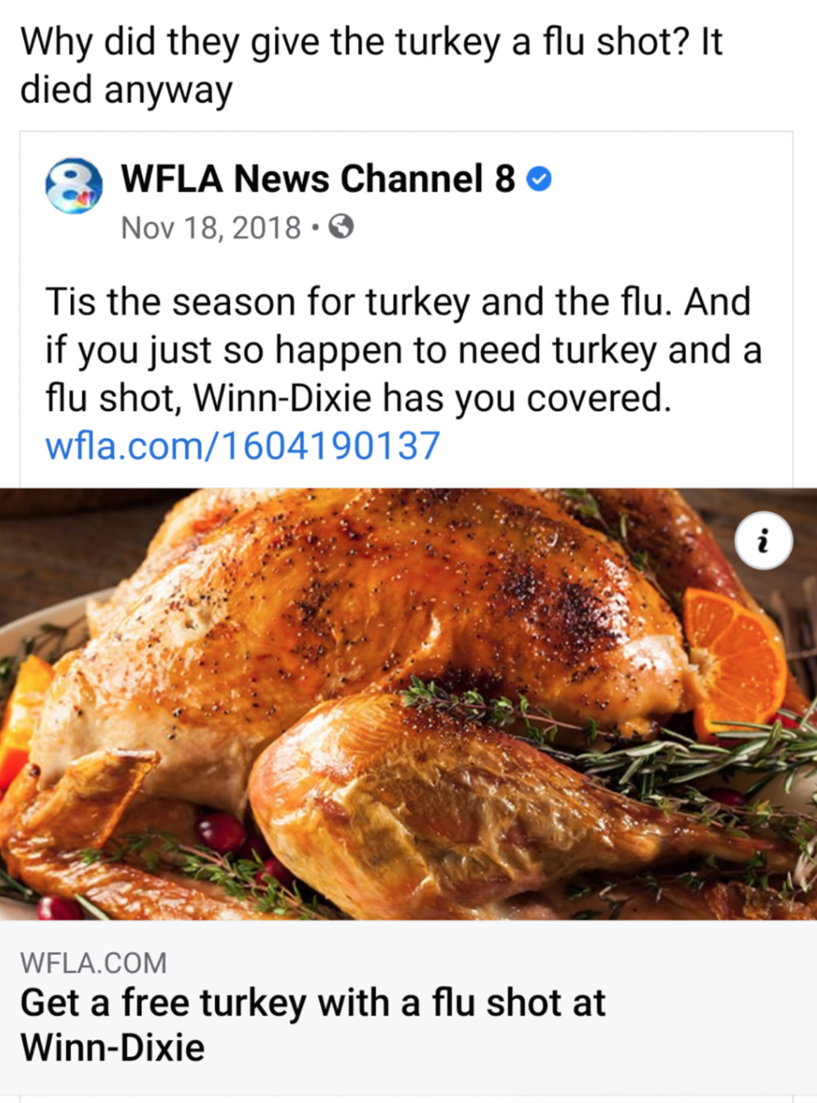 turkey delicious - Why did they give the turkey a flu shot? It died anyway Wfla News Channel . Tis the season for turkey and the flu. And if you just so happen to need turkey and a flu shot, WinnDixie has you covered. wfla.com1604190137 Wfla.Com Get a fre
