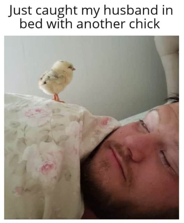 relationship-memes-Just caught my husband in bed with another chick