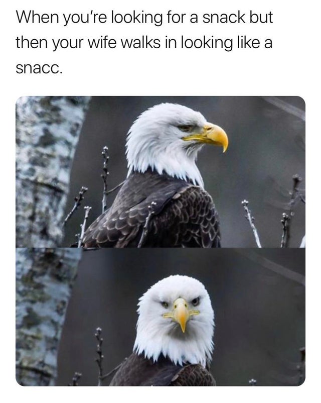 relationship-memes-fauna - When you're looking for a snack but then your wife walks in looking a snacc.