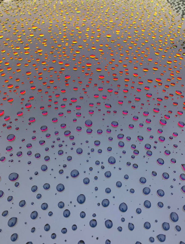 funny random pics - droplets on a car windshield during sunset