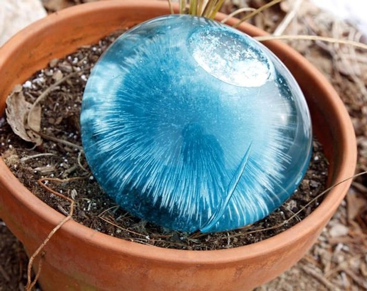 cool stuff people saw - frozen water balloon food coloring