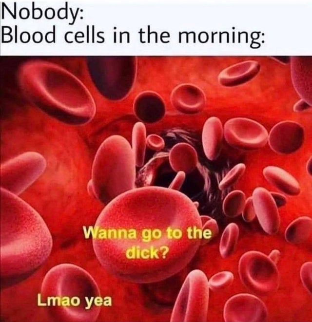 dirty-memes-blood cells in the morning - Nobody Blood cells in the morning Wanna go to the dick? Lmao yea