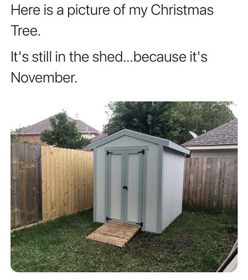 funny memes - shed - Here is a picture of my Christmas Tree. It's still in the shed...because it's November