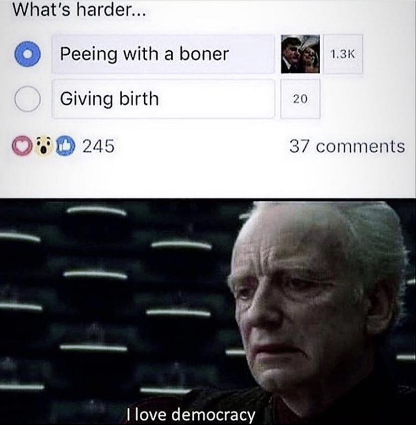 funny memes - peeing with a boner - What's harder... Peeing with a boner Giving birth 20 245 37 I love democracy