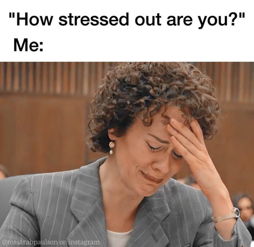 funny memes - sarah paulson crying - "How stressed out are you?" Me on instagram