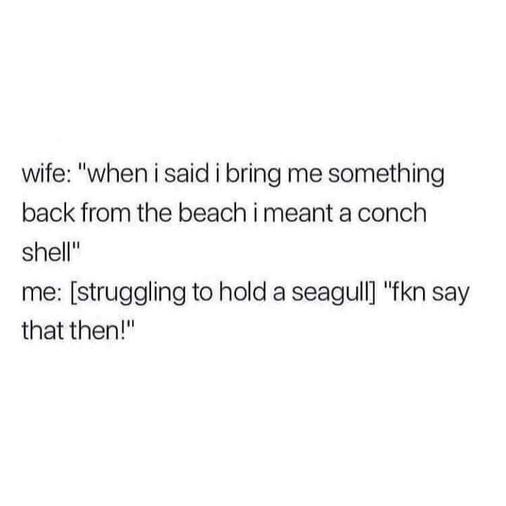 keep my business to myself quotes - wife "when i said i bring me something back from the beach i meant a conch shell" me struggling to hold a seagull "fkn say that then!"