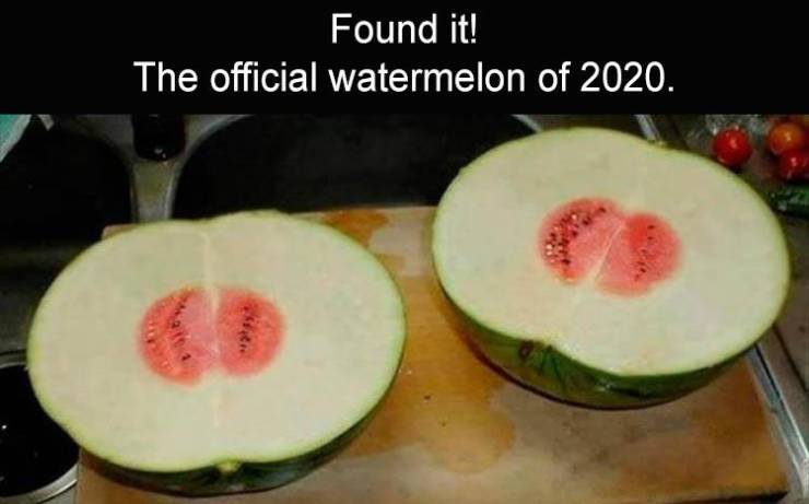 funny memes - most useless things ever made - Found it! The official watermelon of 2020.