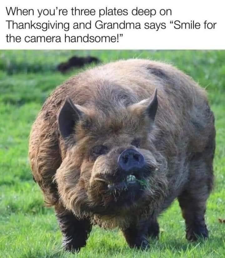 funny random pics - smile for the camera handsome meme - When you're three plates deep on Thanksgiving and Grandma says "Smile for the camera handsome!"