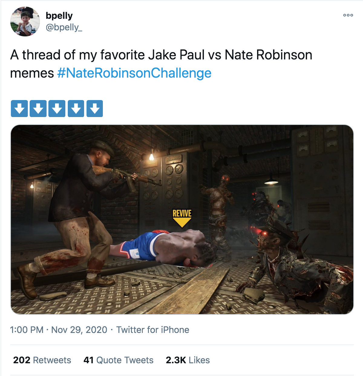 Nate Robinson KO memes - A thread of my favorite Jake Paul vs Nate Robinson memes Robinson Challenge Revive a Twitter for iPhone 202 41 Quote Tweets