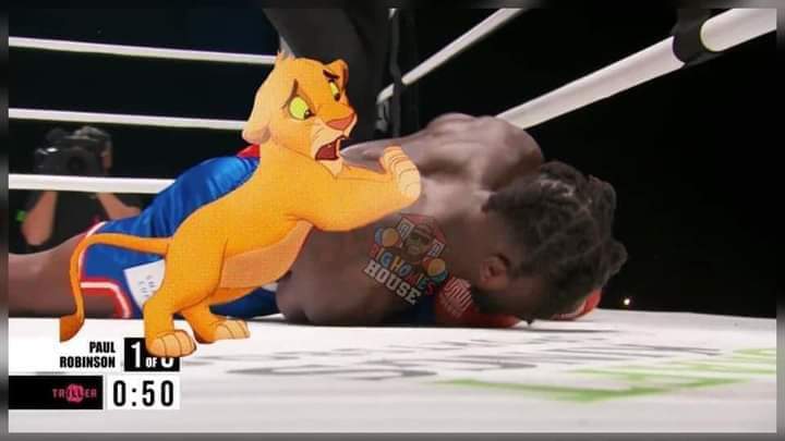 Nate Robinson KO memes - simba from lion king crying next to Nate Robinson