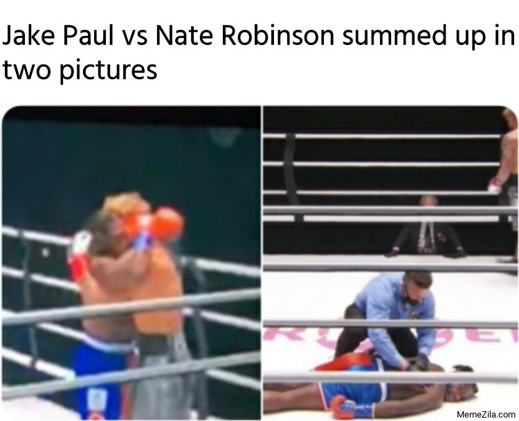 Nate Robinson KO memes - Jake Paul vs Nate Robinson summed up in two pictures MemeZila.com