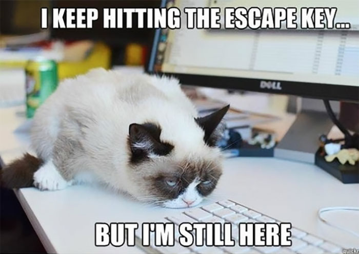 funny work memes - grumpy cat escape key - I Keep Hitting The Escape Key.. Doll But I'M Still Here
