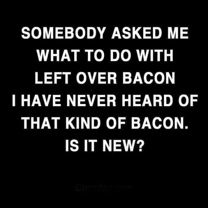 jokes for men - Somebody Asked Me What To Do With Left Over Bacon I Have Never Heard Of That Kind Of Bacon. Is It New?