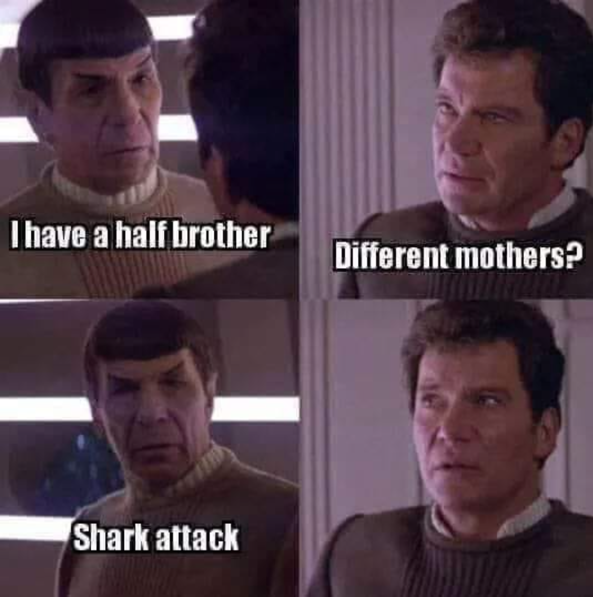 Humour - I have a half brother Different mothers? Shark attack