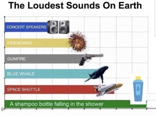 loudest sound on earth - The Loudest Sounds On Earth Concert Speakers Fireworks Gunfire Blue Whale Space Shuttle A shampoo bottle falling in the shower