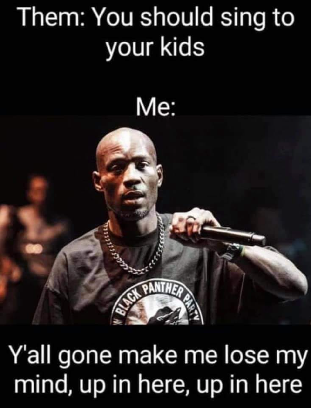 DMX - Them You should sing to your kids Me Panther Black Y'all gone make me lose my mind, up in here, up in here