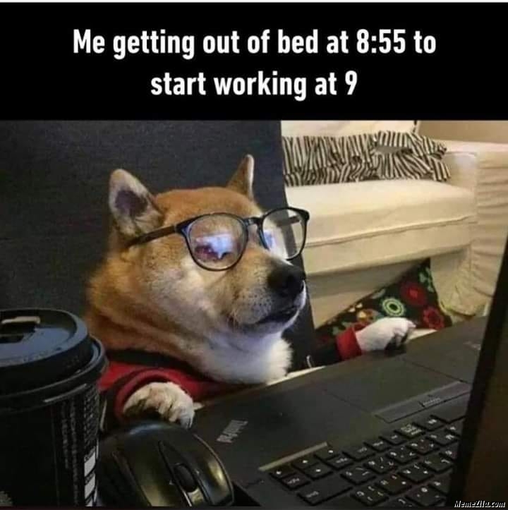 dog remote work meme - Me getting out of bed at to start working at 9 Meme Icon
