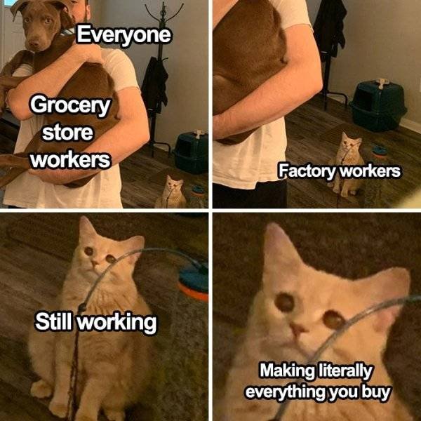 essential worker meme - Everyone Grocery store workers Factory workers Still working Making literally everything you buy