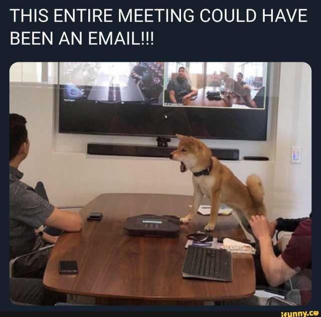 work-memes-whole meeting could have been an email - This Entire Meeting Could Have Been An Email!!! ifunny.co