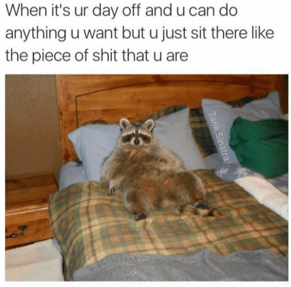 work-memes-raccoon bed - When it's ur day off and u can do anything u want but u just sit there the piece of shit that u are Tank Sinatra