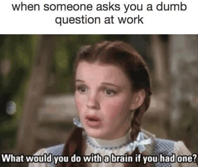 work memes - work memes - when someone asks you a dumb question at work What would you do with a brain if you had one?