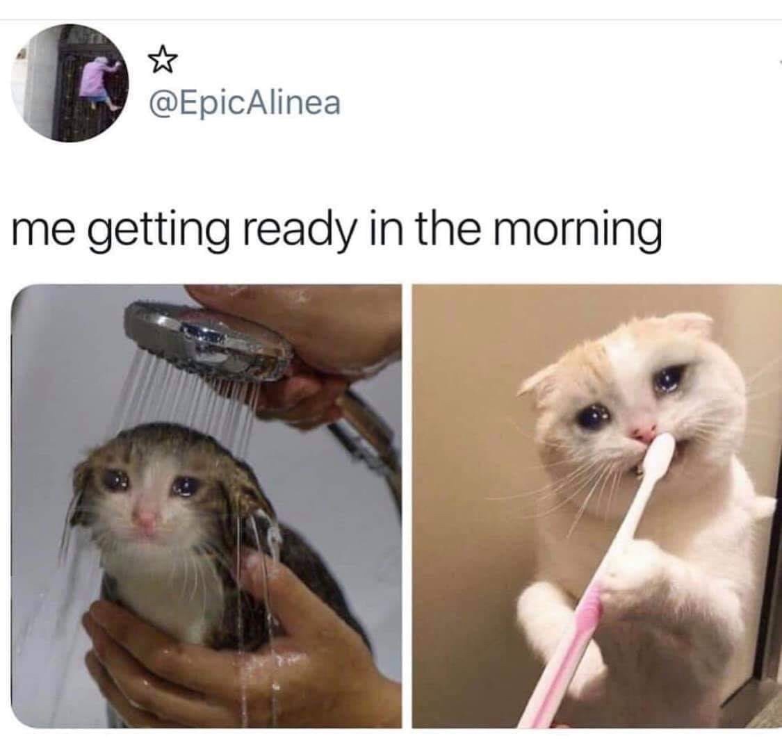 work memes - crying cat meme - me getting ready in the morning