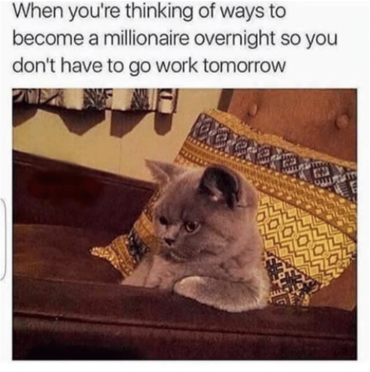 work memes - dreading work meme - When you're thinking of ways to become a millionaire overnight so you don't have to go work tomorrow
