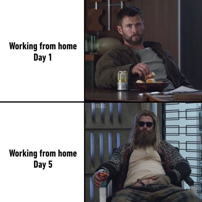 work memes - working from home meme - Working from home Day 1 Working from home Day 5