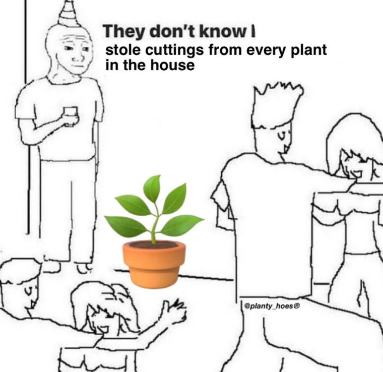they dont know im wojak meme twitter - wish i was at home 4chan - They don't know ! stole cuttings from every plant in the house