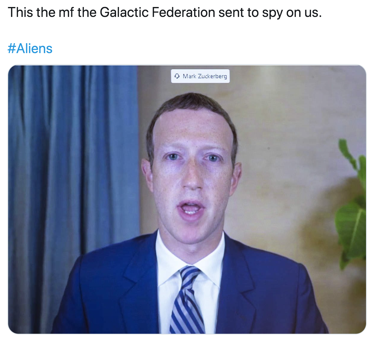mark zuckerberg - This the mf the Galactic Federation sent to spy on us. Mark Zuckerbers