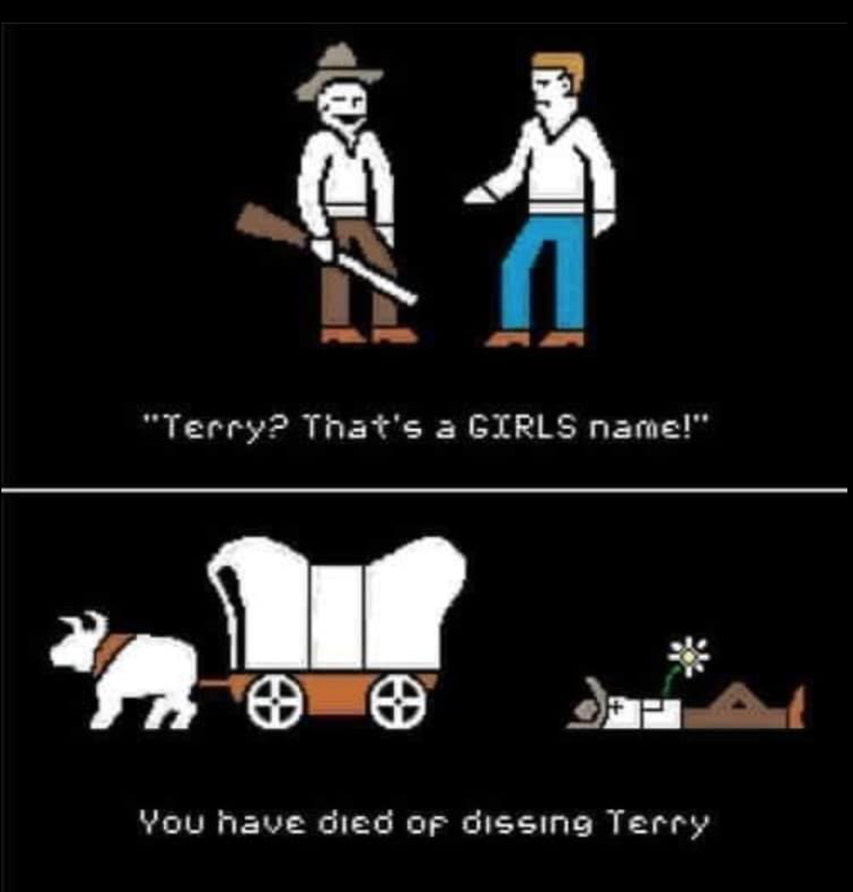 oregon trail funny - "Terry? That's a Girls name!" You have died of dissing Terry