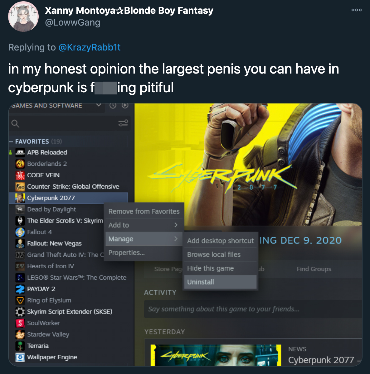 in my honest opinion the largest penis you can have in cyberpunk is fucking pitiful