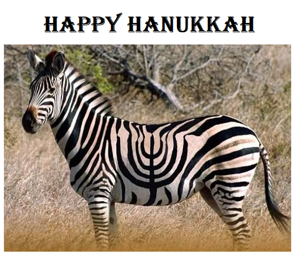 jewish zebra - Happy Hanukkah