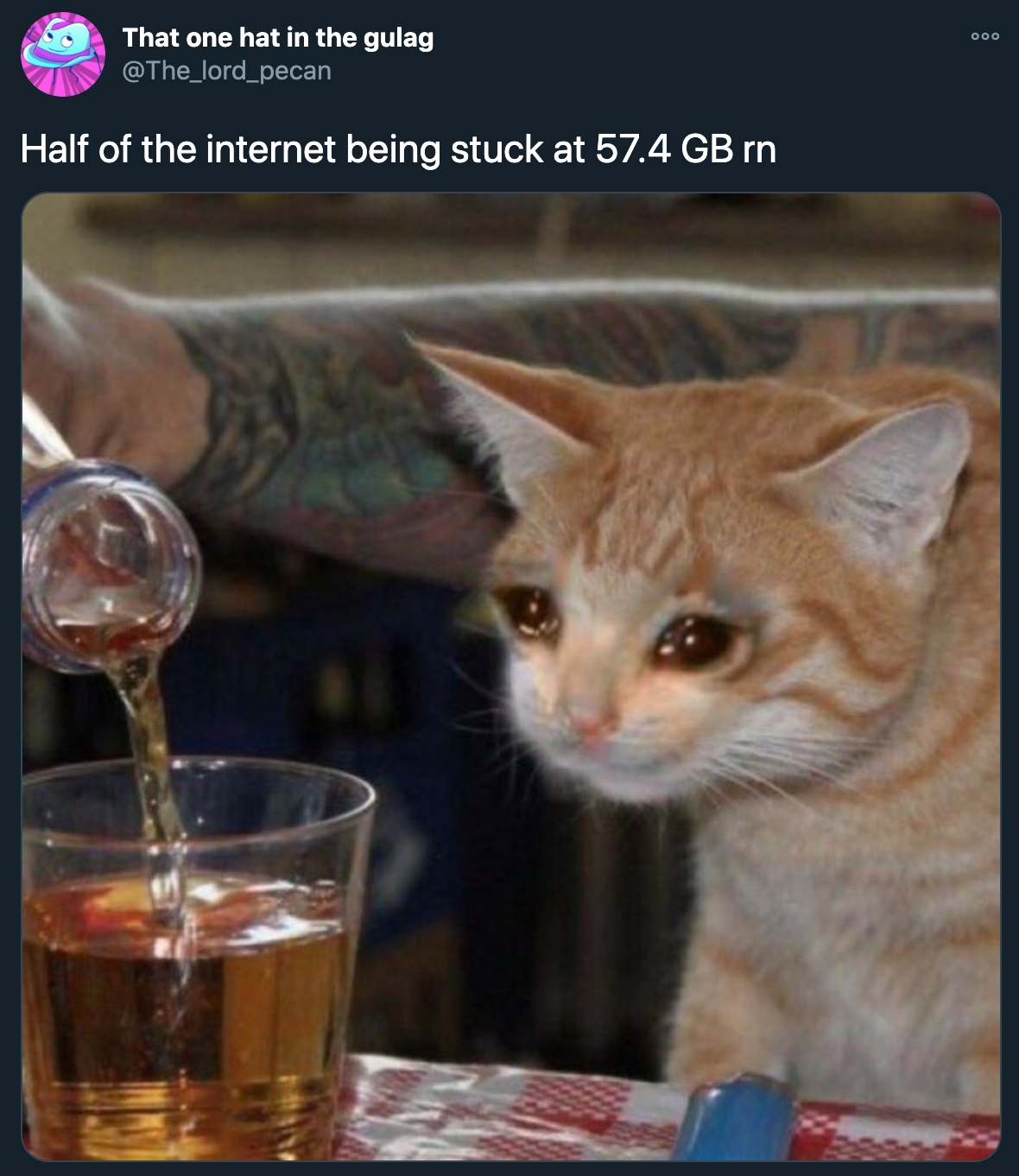 cyberpunk 2077 steam download pc gaming tweets twitter - cat pouring beer - Bod That one hat in the gulag Half of the internet being stuck at 57.4 Gb rn