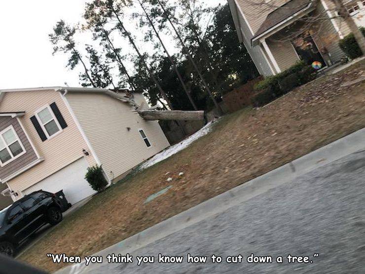 random photos and cool pics - roof - "When you think you know how to cut down a tree."
