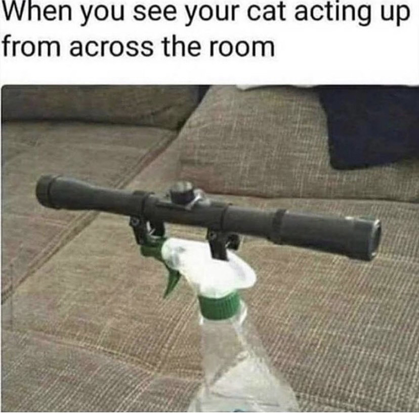 funny memes - windex with scope - When you see your cat acting up from across the room