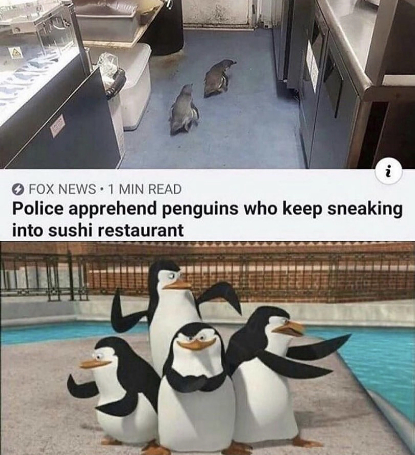 funny memes - movie penguin from madagascar - Fox News. 1 Min Read Police apprehend penguins who keep sneaking into sushi restaurant